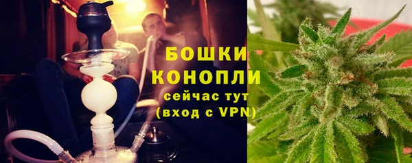 ALPHA PVP Бородино