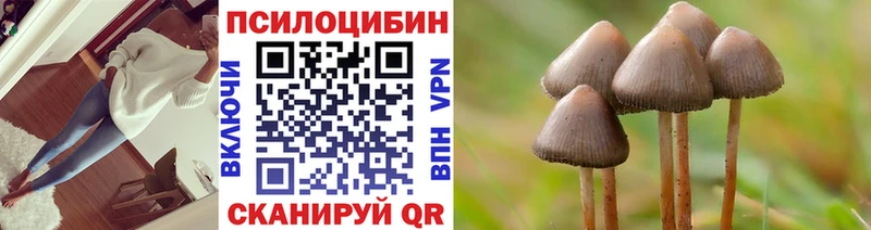 Галлюциногенные грибы MAGIC MUSHROOMS  Верея 